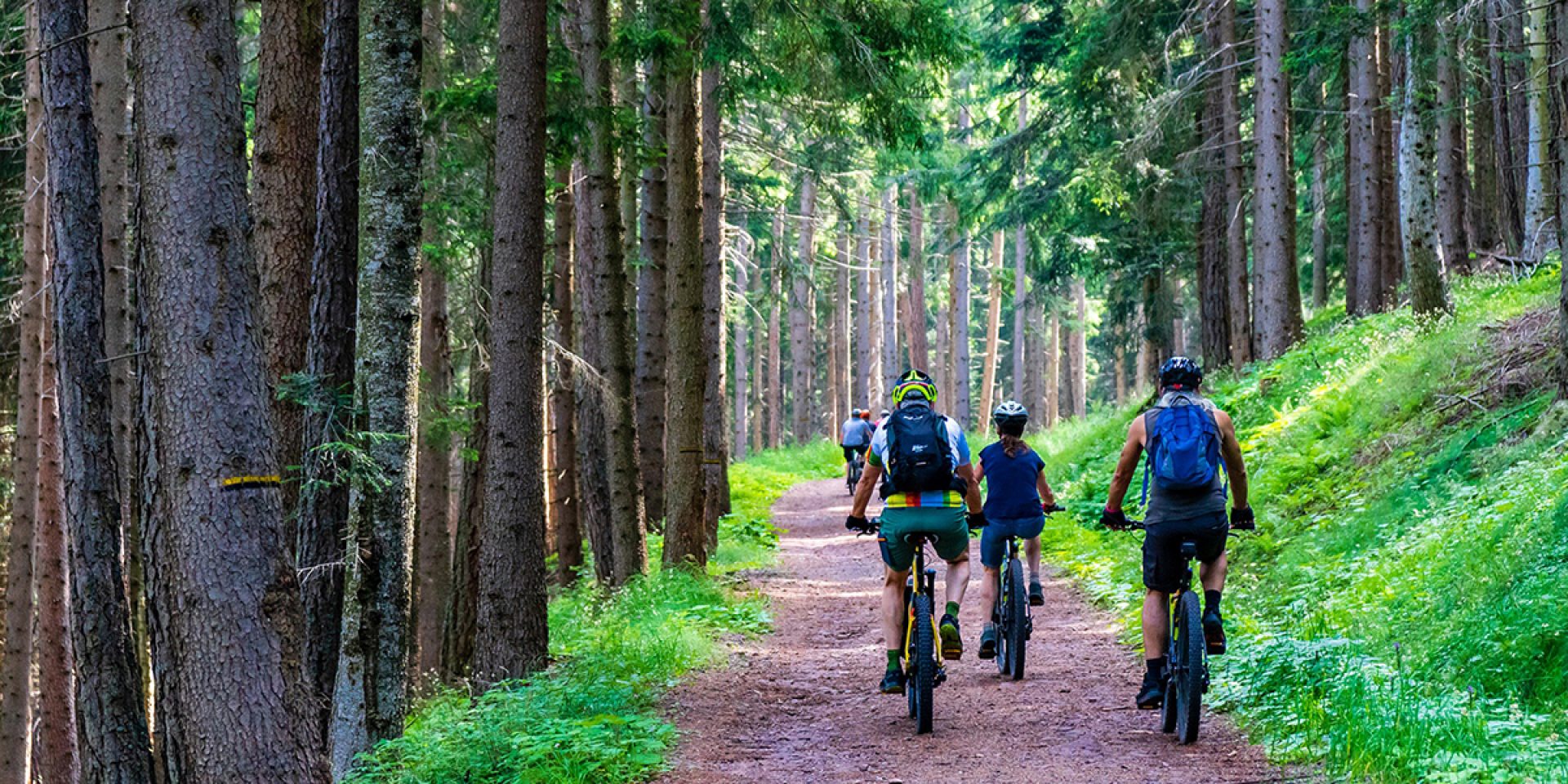 E-Bike Tour durch den Wald