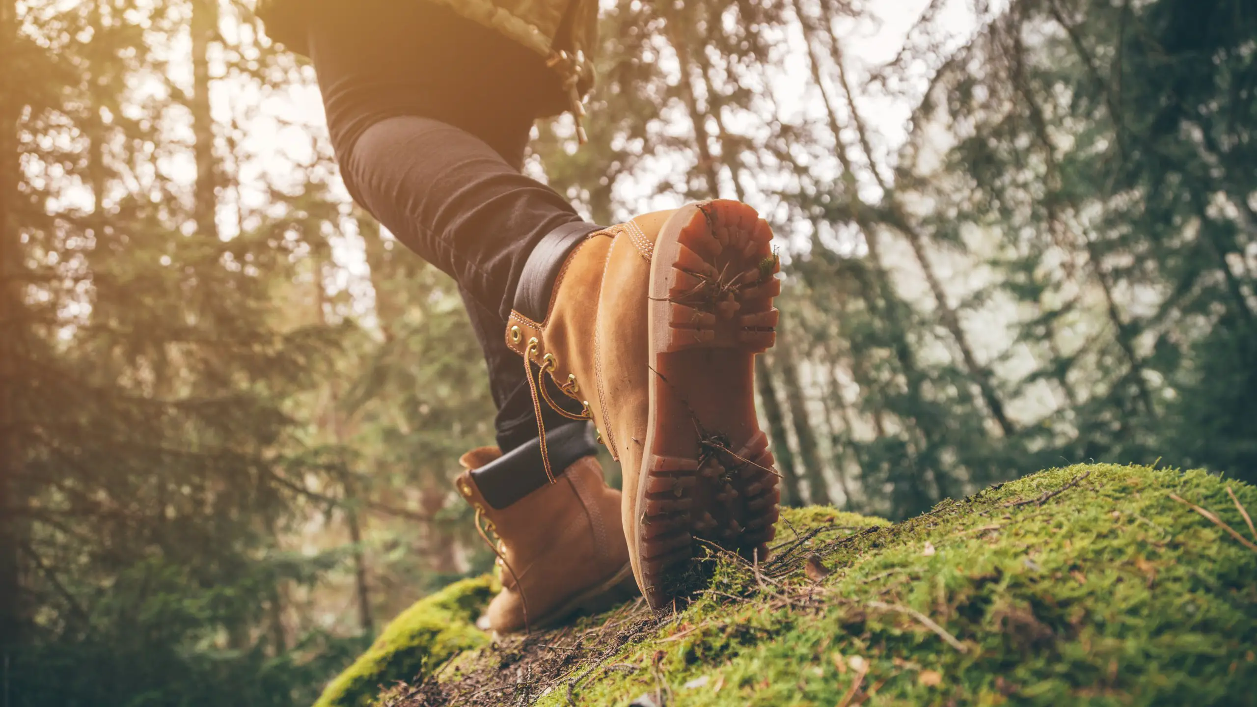 Genusswandern im Sauerland Genusswandern im Sauerland