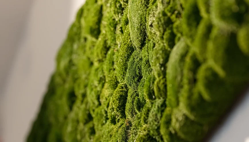 Mooswand im Seminarraum Feine Lichtung